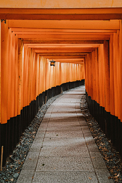 盼盼不是胖胖呀采集到图片-日本人物、美食、风景