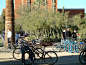亚利桑那大学校友广场University of Arizona Alumni Plaza-mooool设计