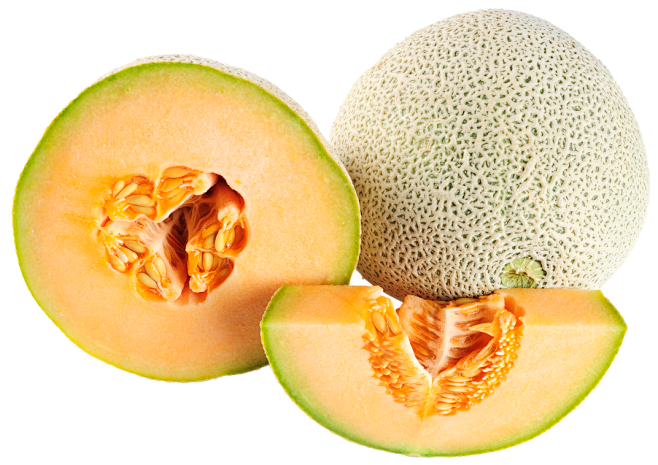 melon png