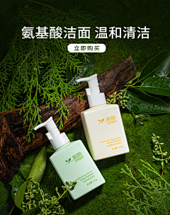 伍六七哈采集到森系绿色背景