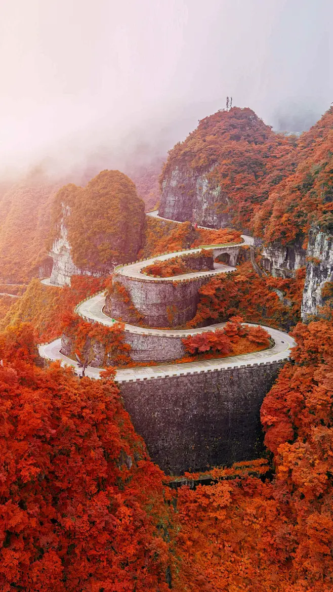 万山红遍-花瓣网