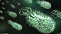 寄居人体皮肤上的“外星”细菌(950×545)