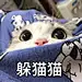 桃崽儿