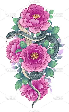 粉红牡丹间手绘绞蛇