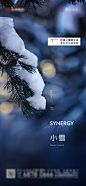 小雪海报-志设网-zs9.com