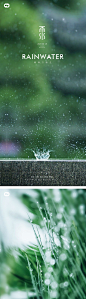 雨水白露节气海报-源文件