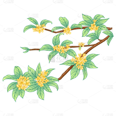 夏Echo22采集到插画 植物