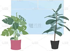 靠白墙的窗台上的室内植物