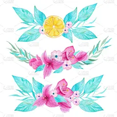 水彩手绘花装饰与柠檬和三角梅花。可用于印刷和装饰。