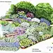 国外超时髦花镜设计过程_方案文本分享_秋凌景观网景观设计师培训—秋凌景观网 -