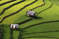 19---亚洲各地的稻田，美到惊叹！摄影师们用镜头语言告诉我们，大米原来是在这样的环境里生长的。