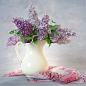 花瓶中的浅紫色丁香花束3D模型（OBJ,FBX,MAX）
