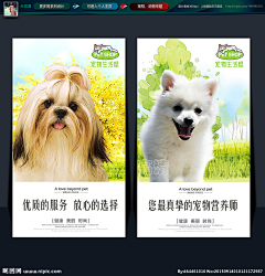 陆铁采集到宠物