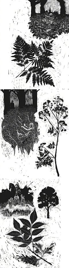 讲述托尔金作品中的植物的书籍《中土花神：托尔金奇幻世界中的植物》今天(8月15日)正式发行，牛津大学出版社出版。由植物学家Walter Judd撰文，手绘插画家Graham Judd绘制插图，欣赏一下封面和美丽的插画↓比如，图2就是《霍比特人》里比尔博提到的中土咖啡。 ​​​​