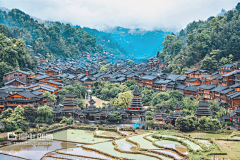 木偶鱼=采集到寨子