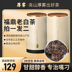 猫咪好看的时候采集到配色