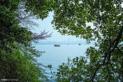 西湖春天主题西湖春景摄影欣赏 - 三视觉_1708802633