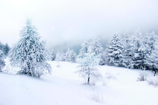 雪