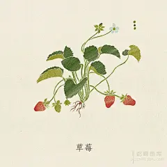 创意作品：简单朴素的蔬果插画_美食_东营大众网