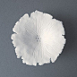 Grace-porcelain wall sculpture: hand formed porcelain flower: 