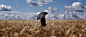 People 5184x2206 wheat field umbrella clouds sky
