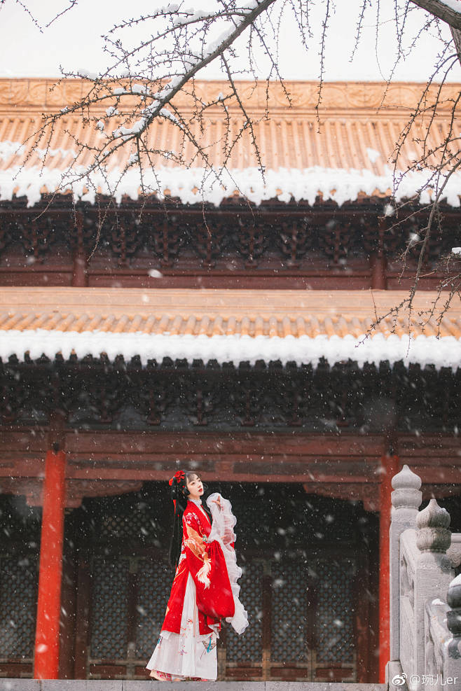 《梅花雪》

落落红衫覆雪开，
飞花云霰...