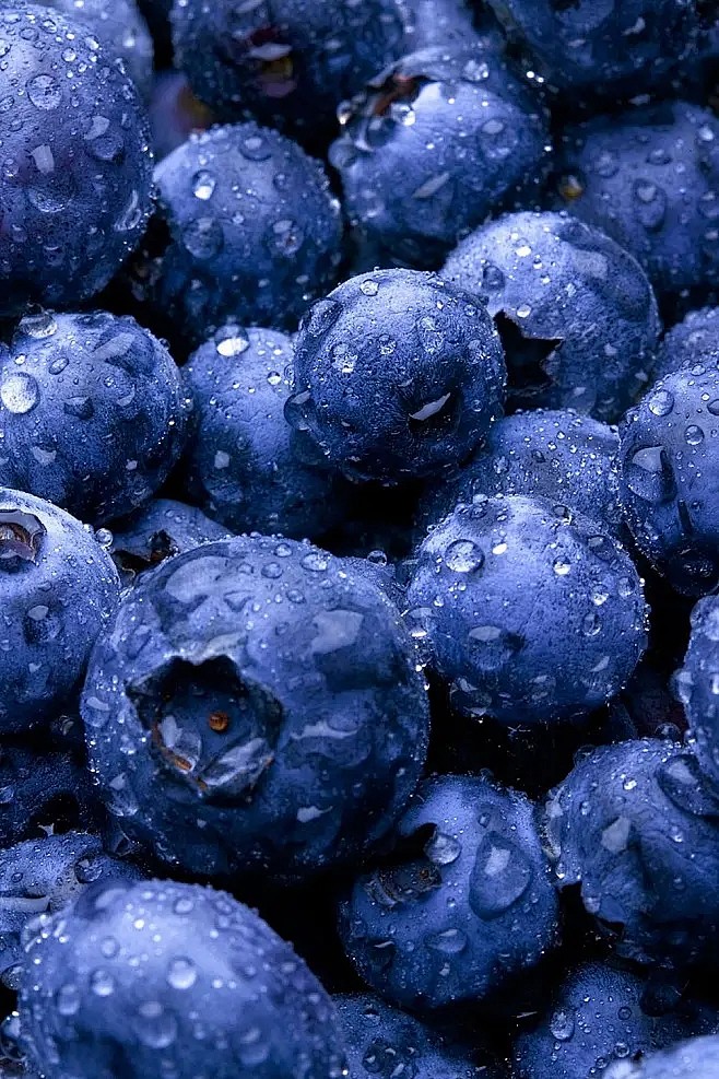 蓝莓1