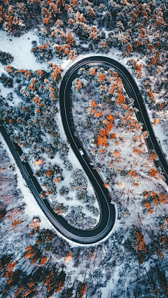 （性格如此）采集到背景