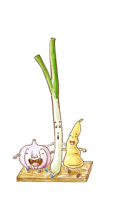 厨房三宝