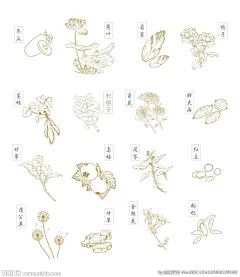 矢量药材