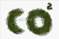                         在草地上的二氧化碳字母