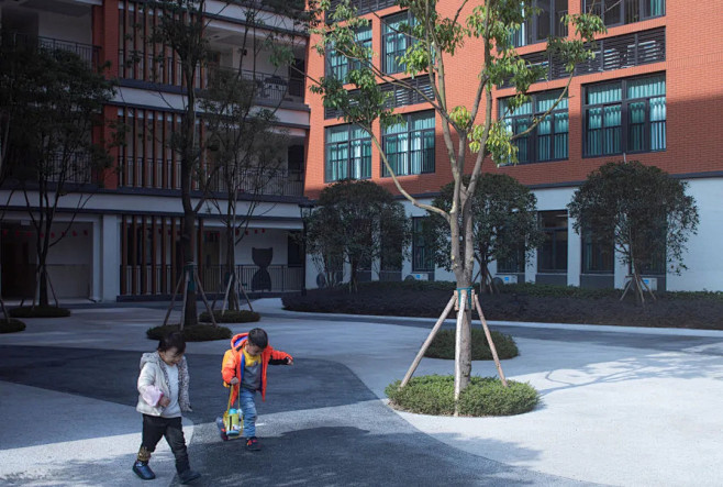 黑白作品 | 犹树生长——华东师范大学附...
