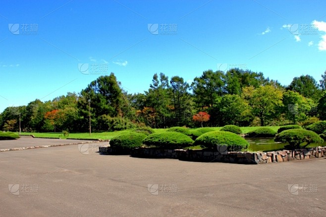 公园,纪念碑,札幌,塔,风景,森林,城市...