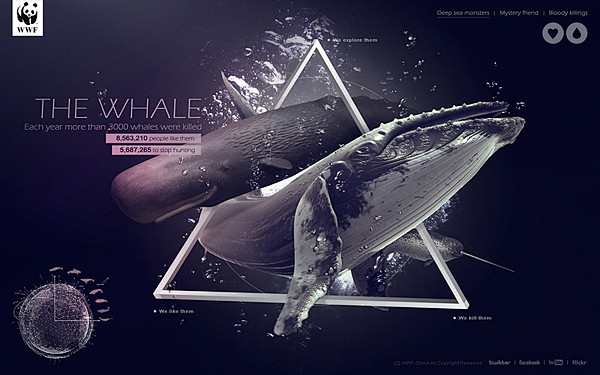 The whale on Web Des...