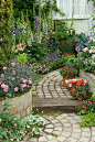 Love this path: 