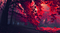 1366x768 Red Autumn