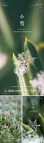 地产小雪节气海报-源文件