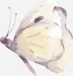 水彩蝴蝶手绘 创意素材