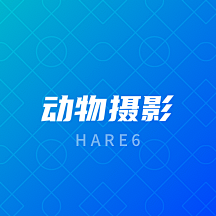 hare6采集到动物摄影