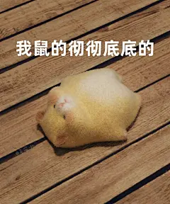 我鼠了｜鼠鼠表情包_1_辛安小_来自小红书网页版