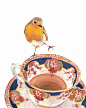 Teacup Watercolour PRINT - Robin Watercolor, Watercolour Painting, Bird Illustration Print, 8x10 Print
