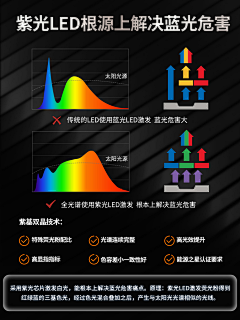 橙子你个orange采集到卖点