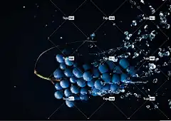 葡萄 Mac壁纸 自由背景 4K壁纸1920X1080 水果 食物