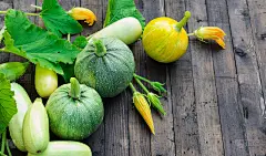 秋收季节背景。圆西葫芦和南瓜叶和花在深棕色的木头桌上