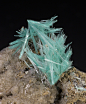 Aurichalcite from Arizona
by Dan Weinrich