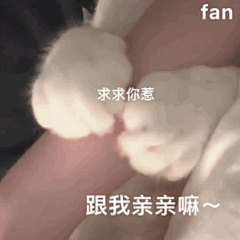 斗图表情包_搞笑0013M07142023