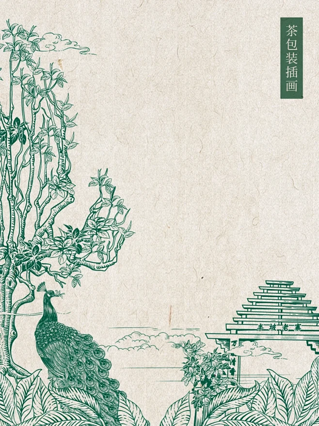 红镖设计事务所｜茶叶原创包装-孔雀 - ...