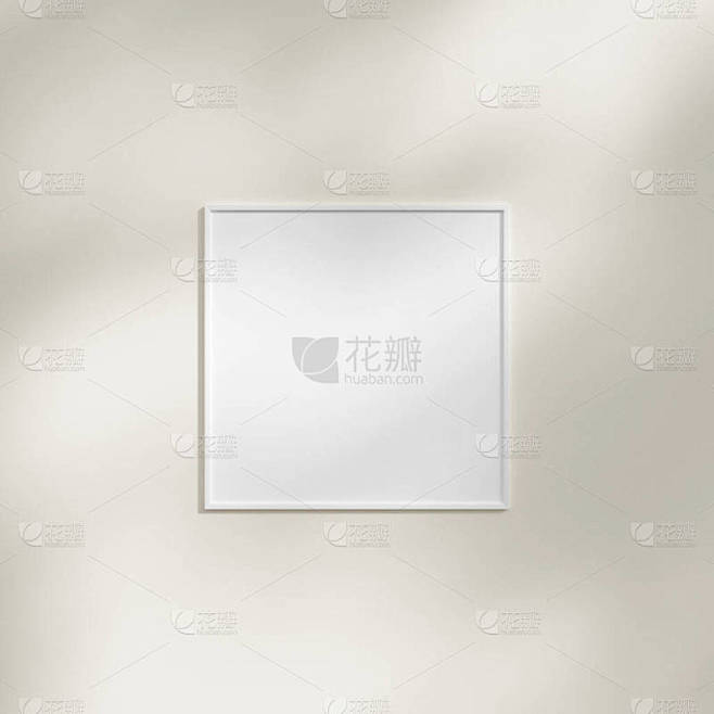 挂在白墙上的框架，上面有树叶的影子