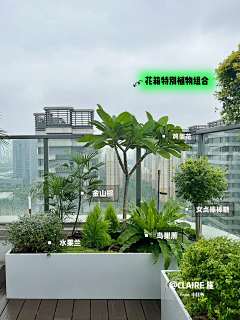 ωǒ吥㈣上帝采集到植物