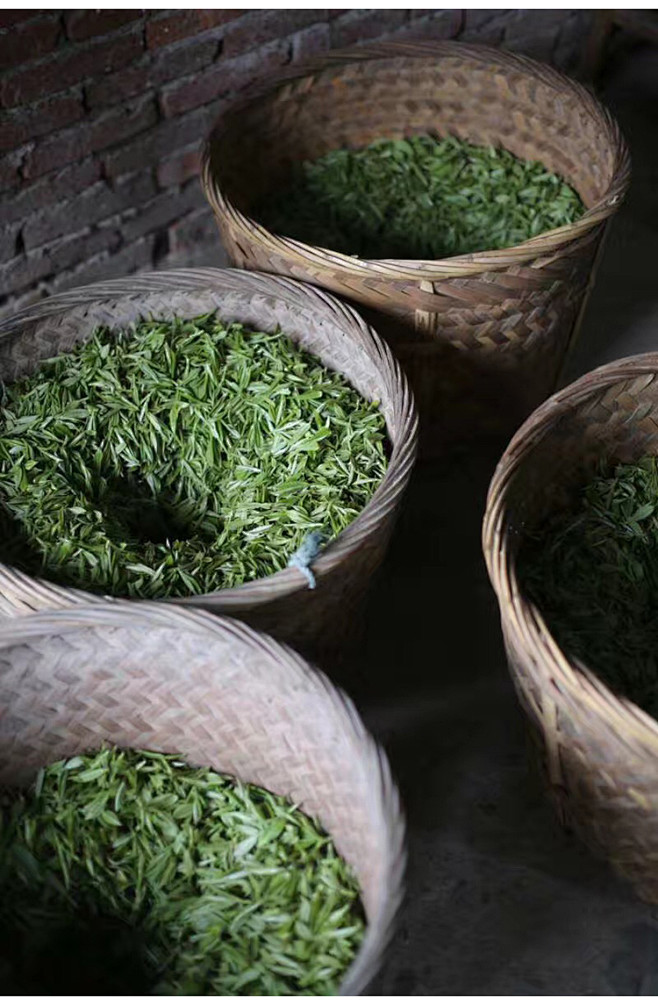 昔物所茶选【荒野高山牡丹王】2015年明...